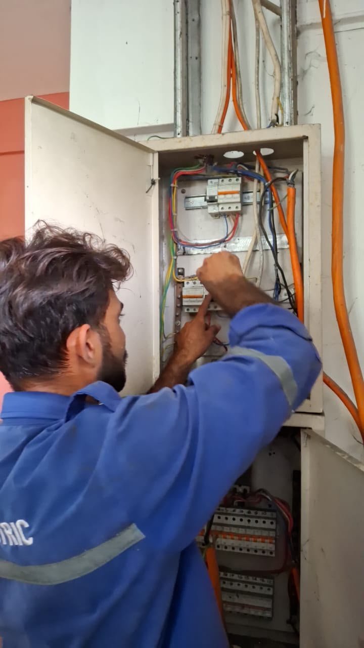 Electrical Panel & Wiring